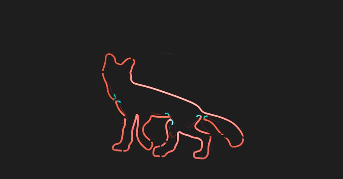 Creating Eye-Catching Displays with Retail Signage